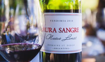Exclusive wine tasting Mendoza